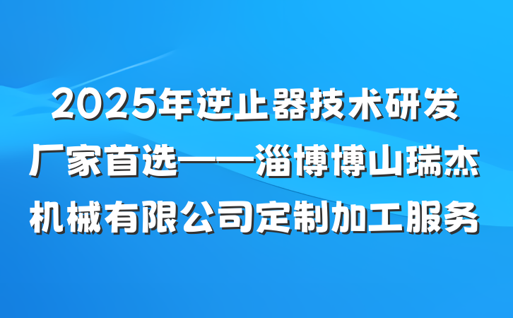 2025年逆止器技术研发厂家首选——淄博博山瑞杰机械有限公司定制加工服务