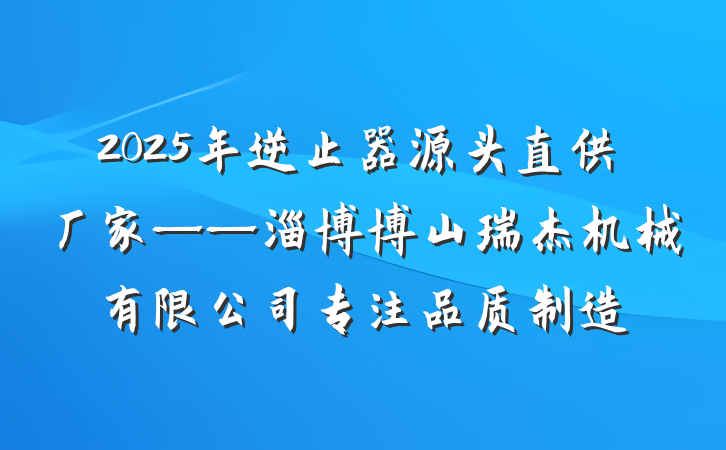 2025年逆止器源头直供厂家——淄博博山瑞杰机械有限公司专注品质制造