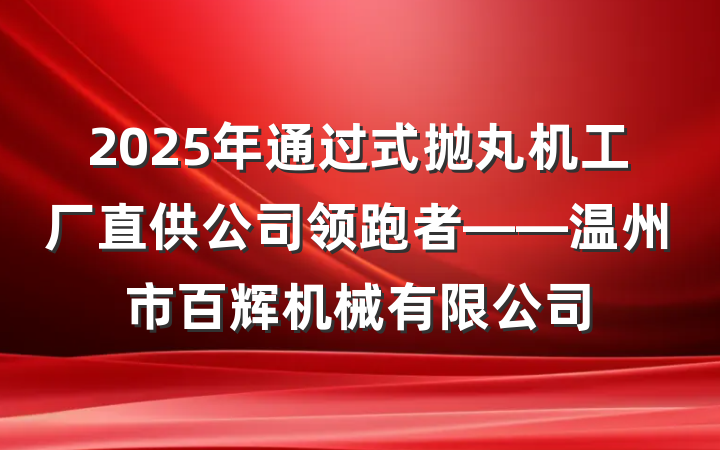 2025年通过式抛丸机工厂直供公司领跑者——温州市百辉机械有限公司