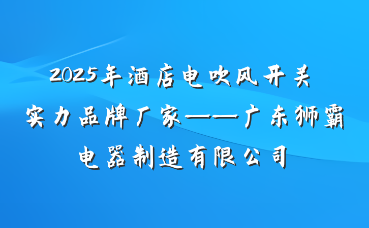 2025年酒店电吹风开关实力品牌厂家——广东狮霸电器制造有限公司