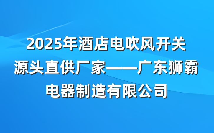 2025年酒店电吹风开关源头直供厂家——广东狮霸电器制造有限公司