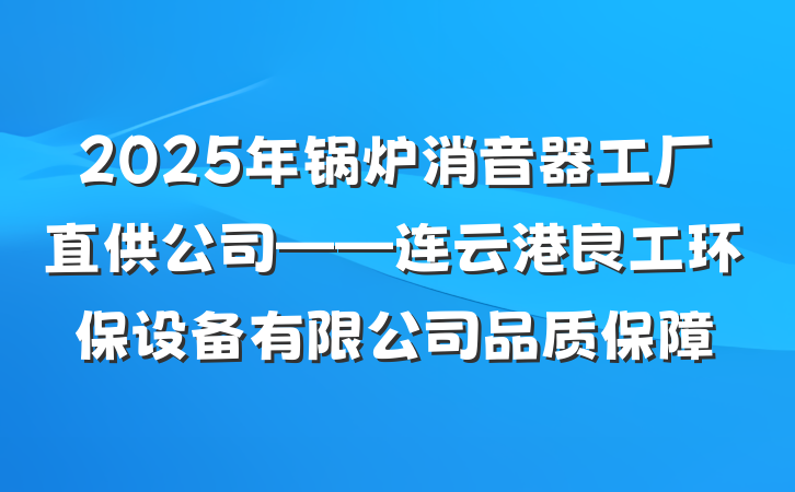 2025年锅炉消音器工厂直供公司——连云港良工环保设备有限公司品质保障