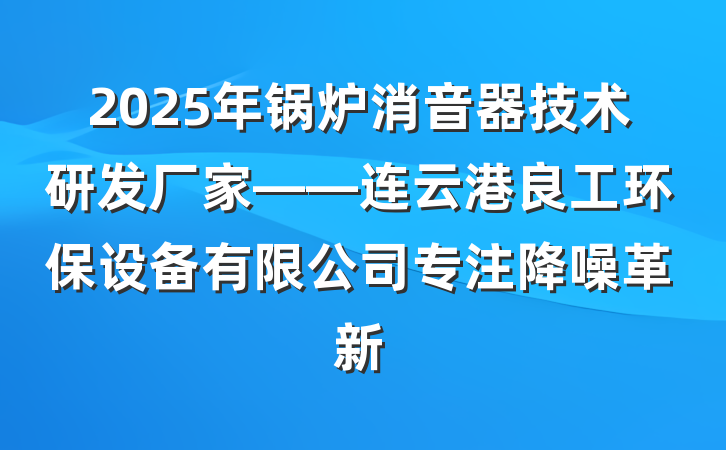 2025年锅炉消音器技术研发厂家——连云港良工环保设备有限公司专注降噪革新