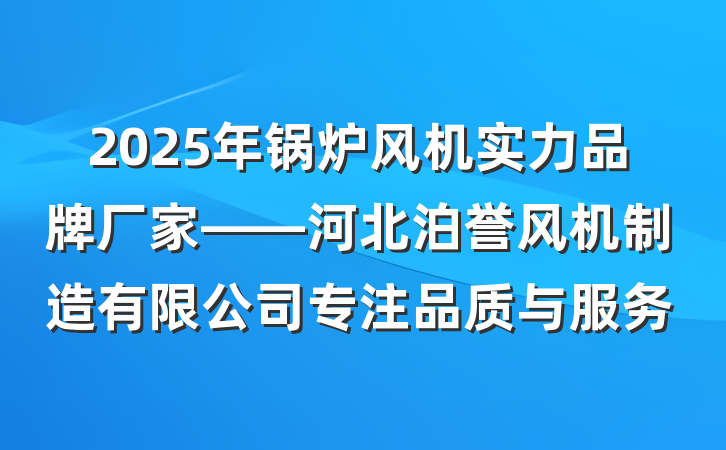 2025年锅炉风机实力品牌厂家——河北泊誉风机制造有限公司专注品质与服务