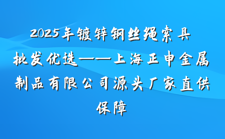 2025年镀锌钢丝绳索具批发优选——上海正申金属制品有限公司源头厂家直供保障