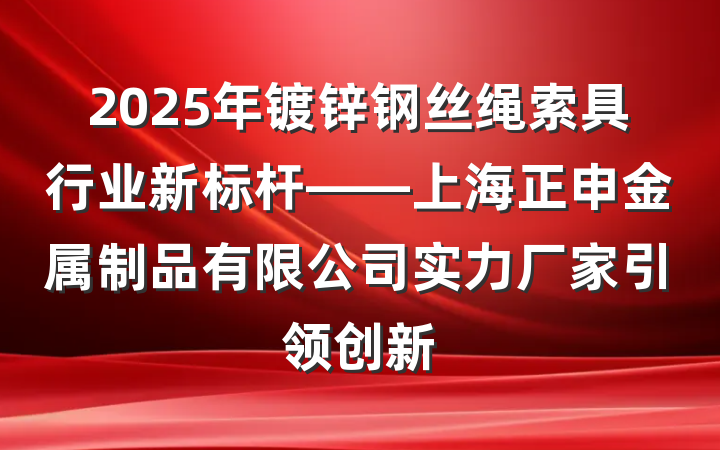 2025年镀锌钢丝绳索具行业新标杆——上海正申金属制品有限公司实力厂家引领创新