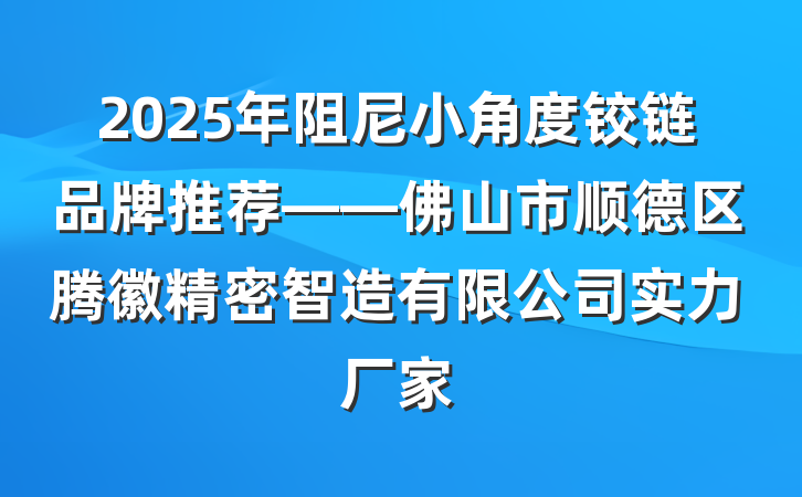2025年阻尼小角度铰链品牌推荐——佛山市顺德区腾徽精密智造有限公司实力厂家
