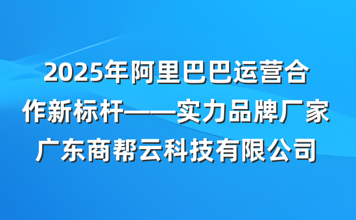 2025年阿里巴巴运营合作新标杆——实力品牌厂家广东商帮云科技有限公司