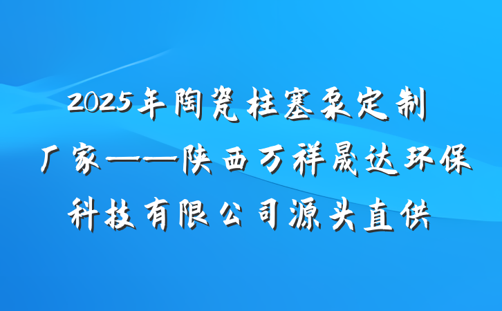 2025年陶瓷柱塞泵定制厂家——陕西万祥晟达环保科技有限公司源头直供