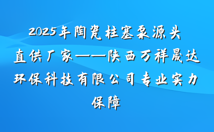 2025年陶瓷柱塞泵源头直供厂家——陕西万祥晟达环保科技有限公司专业实力保障