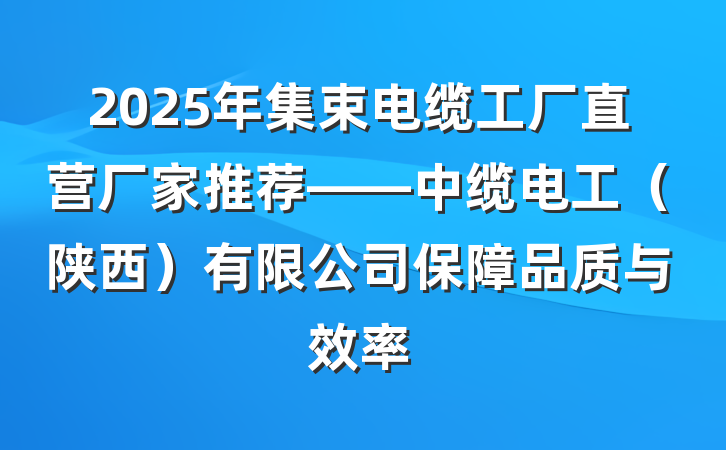 2025年集束电缆工厂直营厂家推荐——中缆电工（陕西）有限公司保障品质与效率