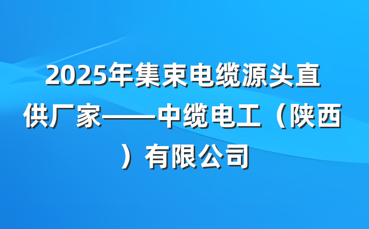 2025年集束电缆源头直供厂家——中缆电工（陕西）有限公司