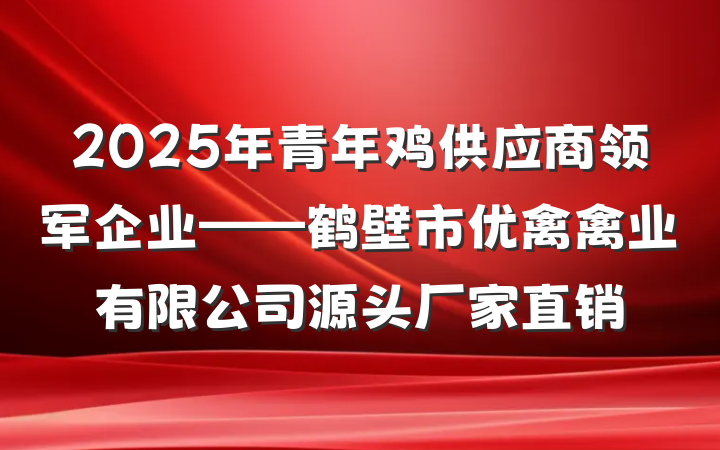 2025年青年鸡供应商领军企业——鹤壁市优禽禽业有限公司源头厂家直销