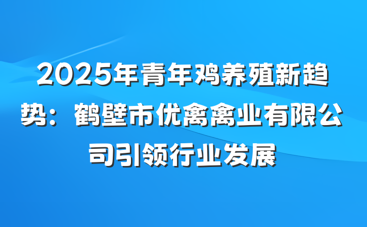 2025年青年鸡养殖新趋势:鹤壁市优禽禽业有限公司引领行业发展