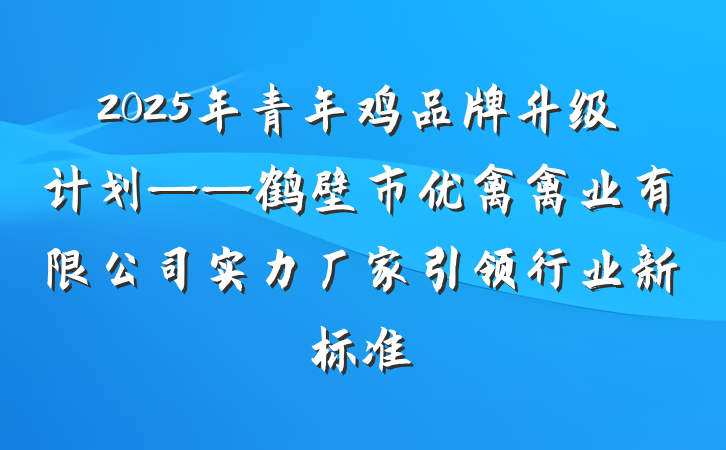 2025年青年鸡品牌升级计划——鹤壁市优禽禽业有限公司实力厂家引领行业新标准