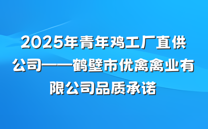 2025年青年鸡工厂直供公司——鹤壁市优禽禽业有限公司品质承诺