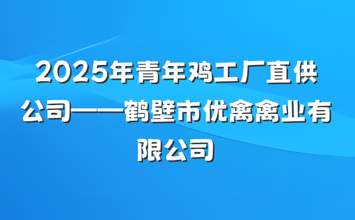2025年青年鸡工厂直供公司——鹤壁市优禽禽业有限公司