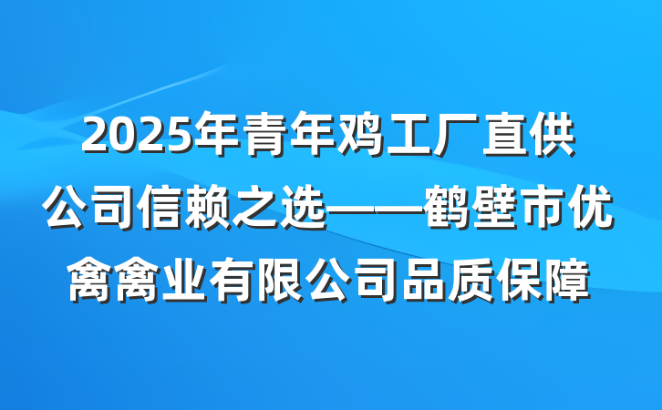 2025年青年鸡工厂直供公司信赖之选——鹤壁市优禽禽业有限公司品质保障