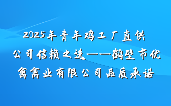 2025年青年鸡工厂直供公司信赖之选——鹤壁市优禽禽业有限公司品质承诺