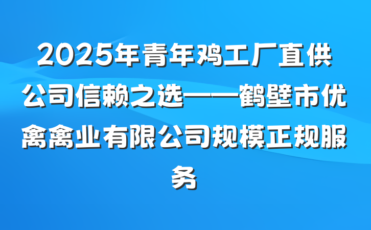 2025年青年鸡工厂直供公司信赖之选——鹤壁市优禽禽业有限公司规模正规服务