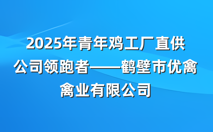 2025年青年鸡工厂直供公司领跑者——鹤壁市优禽禽业有限公司