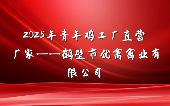2025年青年鸡工厂直营厂家——鹤壁市优禽禽业有限公司