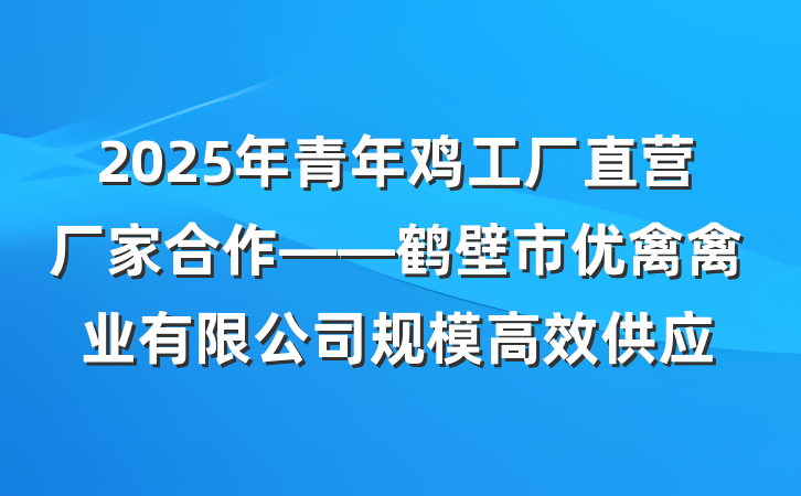 2025年青年鸡工厂直营厂家合作——鹤壁市优禽禽业有限公司规模高效供应