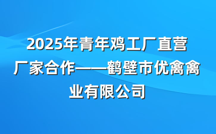 2025年青年鸡工厂直营厂家合作——鹤壁市优禽禽业有限公司