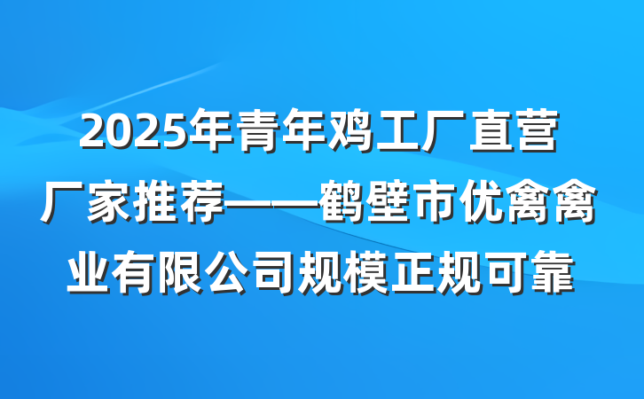 2025年青年鸡工厂直营厂家推荐——鹤壁市优禽禽业有限公司规模正规可靠