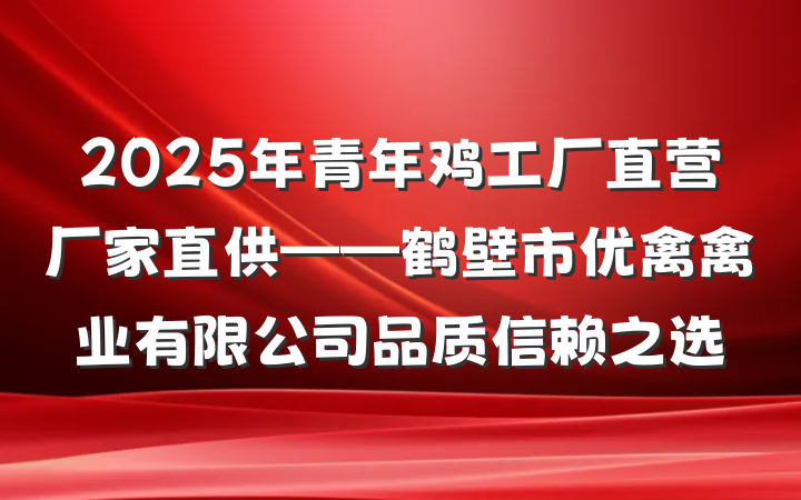 2025年青年鸡工厂直营厂家直供——鹤壁市优禽禽业有限公司品质信赖之选