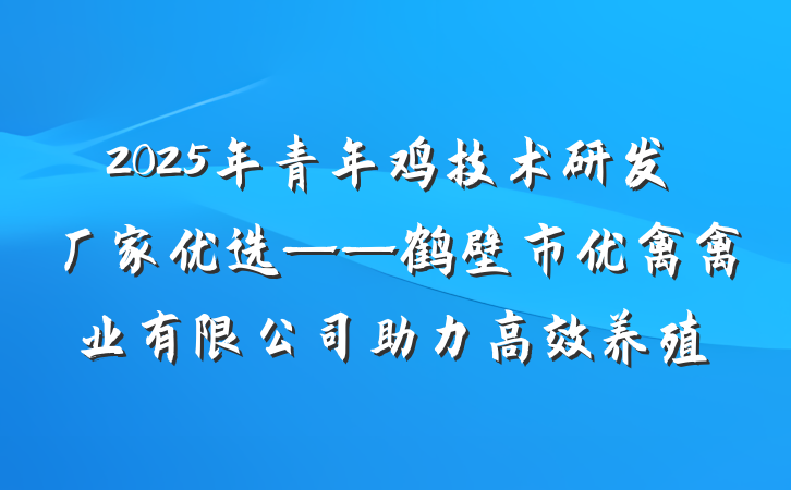 2025年青年鸡技术研发厂家优选——鹤壁市优禽禽业有限公司助力高效养殖