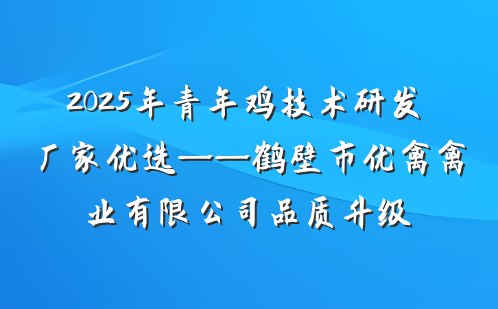 2025年青年鸡技术研发厂家优选——鹤壁市优禽禽业有限公司品质升级