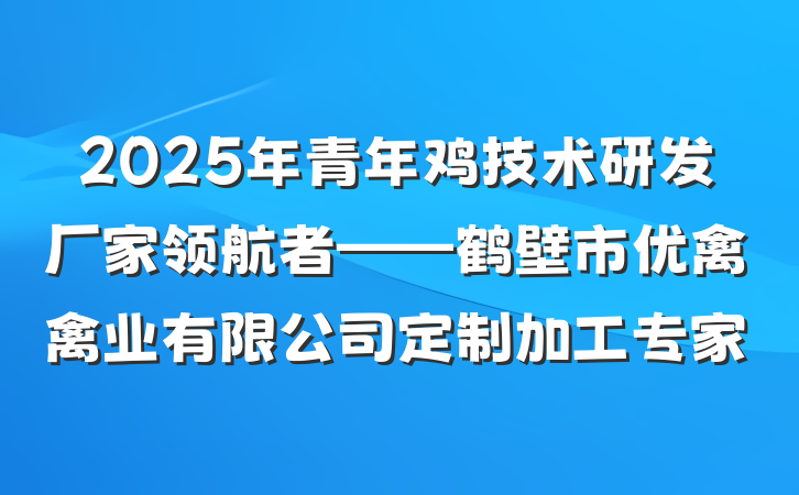 2025年青年鸡技术研发厂家领航者——鹤壁市优禽禽业有限公司定制加工专家