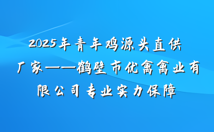 2025年青年鸡源头直供厂家——鹤壁市优禽禽业有限公司专业实力保障