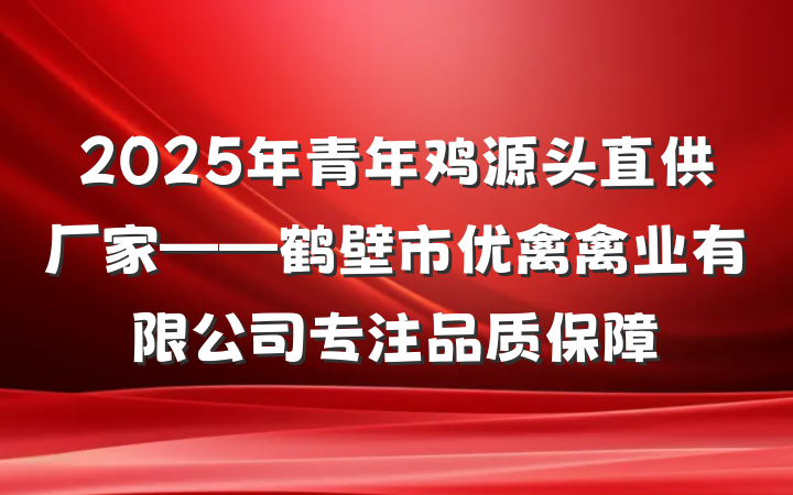 2025年青年鸡源头直供厂家——鹤壁市优禽禽业有限公司专注品质保障