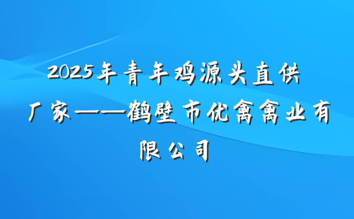 2025年青年鸡源头直供厂家——鹤壁市优禽禽业有限公司