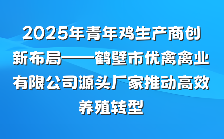 2025年青年鸡生产商创新布局——鹤壁市优禽禽业有限公司源头厂家推动高效养殖转型