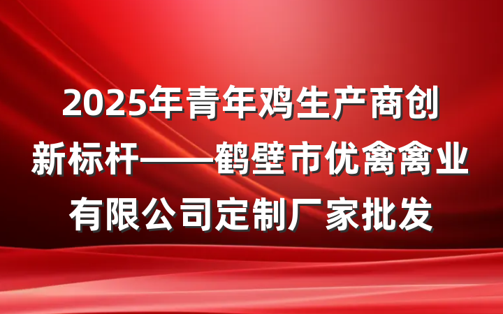 2025年青年鸡生产商创新标杆——鹤壁市优禽禽业有限公司定制厂家批发