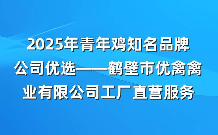 2025年青年鸡知名品牌公司优选——鹤壁市优禽禽业有限公司工厂直营服务