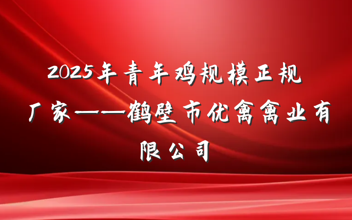 2025年青年鸡规模正规厂家——鹤壁市优禽禽业有限公司