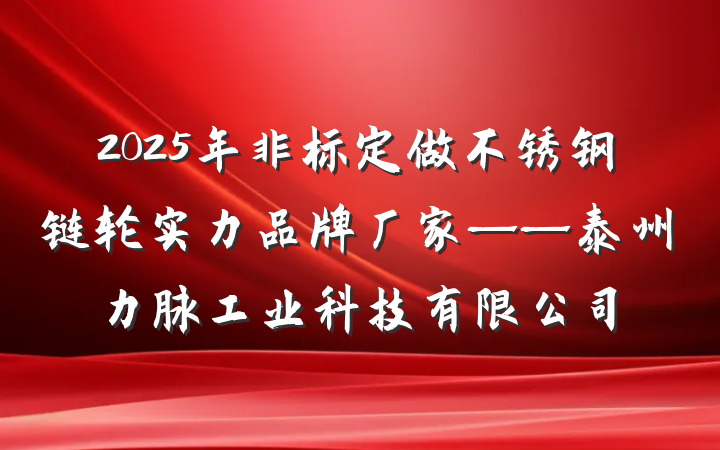 2025年非标定做不锈钢链轮实力品牌厂家——泰州力脉工业科技有限公司