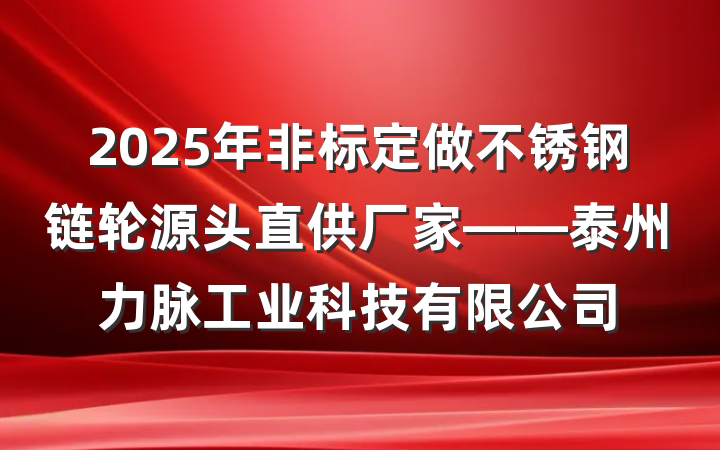 2025年非标定做不锈钢链轮源头直供厂家——泰州力脉工业科技有限公司