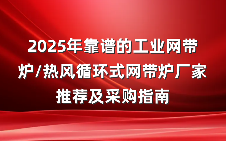 2025年靠谱的工业网带炉/热风循环式网带炉厂家推荐及采购指南