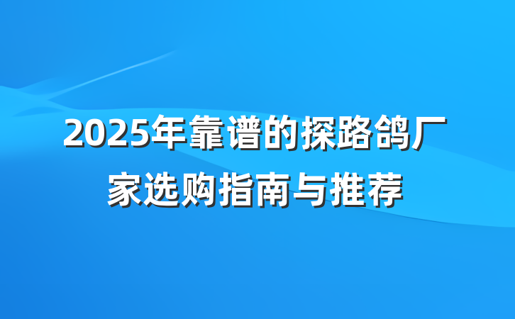 2025年靠谱的探路鸽厂家选购指南与推荐