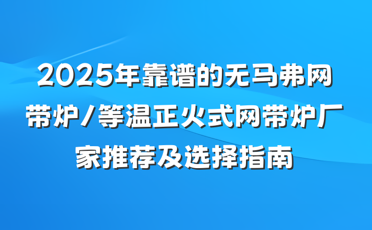 2025年靠谱的无马弗网带炉/等温正火式网带炉厂家推荐及选择指南