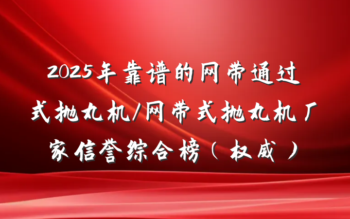 2025年靠谱的网带通过式抛丸机/网带式抛丸机厂家信誉综合榜(权威)