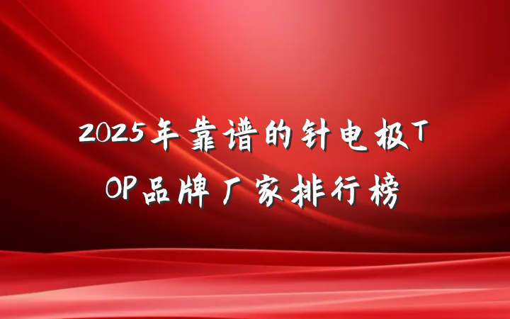 2025年靠谱的针电极TOP品牌厂家排行榜