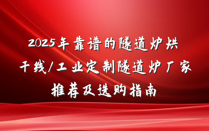2025年靠谱的隧道炉烘干线/工业定制隧道炉厂家推荐及选购指南
