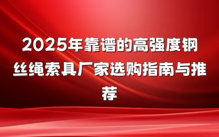 2025年靠谱的高强度钢丝绳索具厂家选购指南与推荐