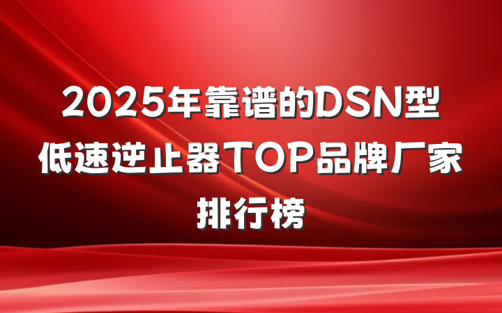 2025年靠谱的DSN型低速逆止器TOP品牌厂家排行榜
